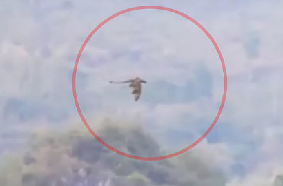 Heboh Video Naga Terbang di Pengunungan Tiongkok, Benarkah?
