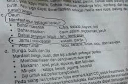 Warga Tangsel Heboh, Beredar Buku LKS SD Sebut Kokain-Ganja Sebagai Jamu