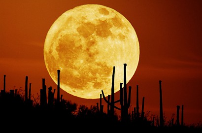 Dalam 70 Tahun, Supermoon Terbesar Bakal Terjadi 14 November