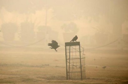 Alami Polusi Udara Terburuk, Sekolah di India Terpaksa Diliburkan