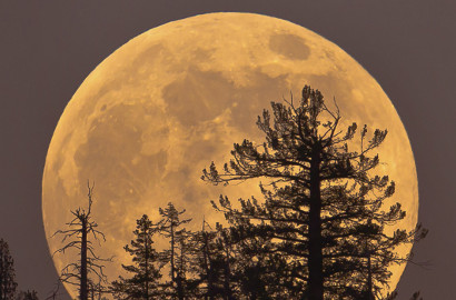 Supermoon Terbesar Hadir Malam Ini, Benarkah Jadi Pertanda Bencana?