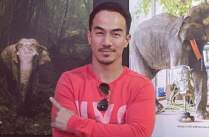 Tenar Sampai Hollywood Usai 'Fast Furious 6', Kapan Joe Taslim Main Film Lokal Lagi?