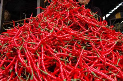 Cabai Bawa Bakteri Berbahaya, Petani Ilegal Asal Tiongkok Ditangkap di Bogor