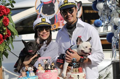 Rayakan Ultah Anjing, Pengusaha Indonesia Gelar Pesta Mewah di Kapal Pesiar