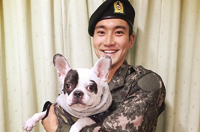 Kelewat Sayang, Siwon Buka Restoran di Thailand dengan Nama Anjingnya