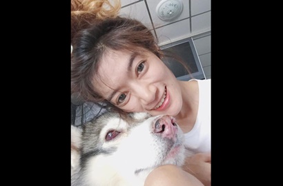 Bak Anak Kecil, Intip Gaya Menggemaskan Anjing Ini Foto Selfie
