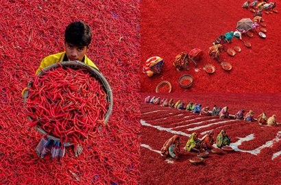 Wow, Panen Ribuan Lombok di Bangladesh Bikin 'Lautan' Merah