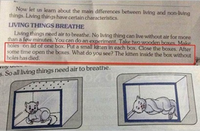 Heboh Buku Kelas 4 SD Ajarkan Bunuh Kucing, Netter Ngamuk