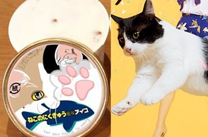 Ada Es Krim Rasa Cakar Kucing dan Anjing, Berani Coba?