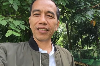 Kelahiran Dua Ekor Kambing Jadi Tema Vlog Terbaru Jokowi, Semenarik Apa?
