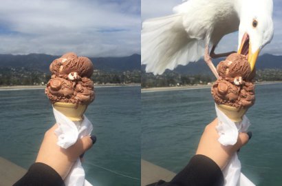 Lagi Cari Angle Sempurna, Wanita Gagal Foto Es Krim Gegara Ini