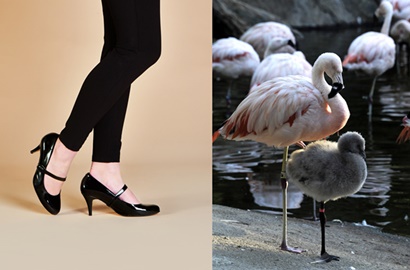 Tiru Filosofi Bangau, Desainer Ini Bikin High Heels Nggak Sakit Meski Dipakai 18 Jam