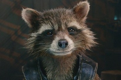 Syuting 'Avengers: Infinity War', Rocket 'Guardians of the Galaxy' Masuk Sekolah Harry Potter