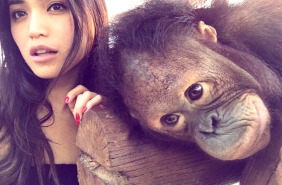 Jessica Iskandar Pamer Foto Orang Utan, Netter Curiga Sindiran Buat Ayu Ting Ting