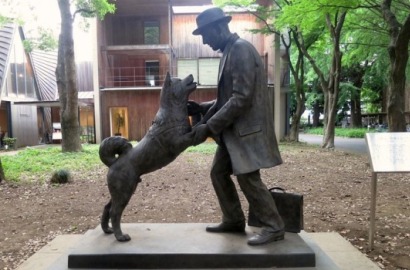 Sama Seperti Hachiko, 7 Hewan Ini Tetap Setia Menanti Tuannya Meski Telah Tiada, Jadi Pingin Nangis