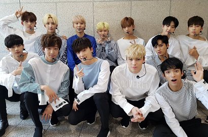 Bukan Mingyu, Inilah Member Terganteng Menurut Seventeen