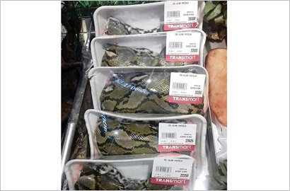 Heboh Penjualan Daging Piton di Supermarket Manado, Ini Kata BKSDA