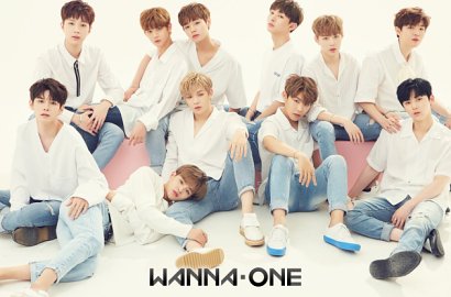 Beda dengan IOI, Netter Sebut Wanna One Lebih Populer Gara-Gara Ini