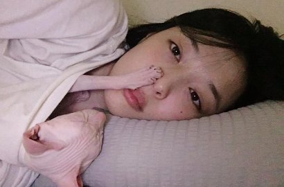 Dimasukkan ke Dalam Baju, Kucing Sulli Dibilang Menjijikkan