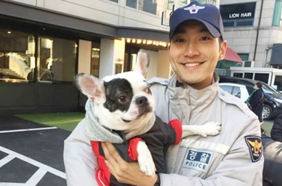 Ternyata Begini Kronologi Anjing Siwon Gigit Tetangga Hingga Meninggal