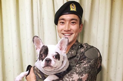 Anjingnya Berulah Gigit Tetangga Hingga Meninggal, Siwon Dikritik Netter