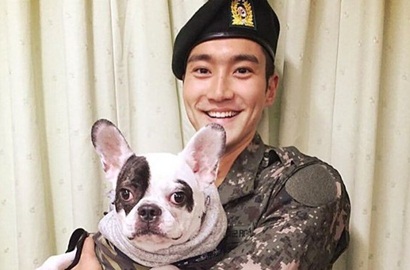 Beredar Rekaman CCTV Saat Anjing Gigit Korban, Keterangan Ayah Siwon Beda dengan Kenyataan?