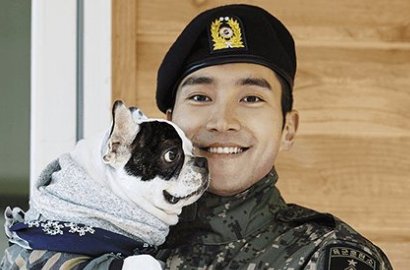 Gara-Gara Kasus Siwon, Pemerintah Korea Perketat Hukuman Bagi Pemilik Anjing