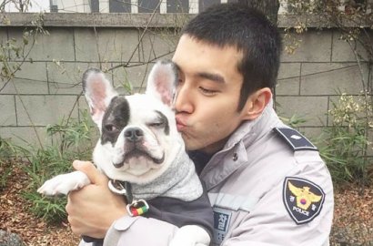 Pemerintah Perketat Hukuman Gara-Gara Kasus Anjing Siwon, Begini Komentar Netter