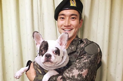 Anjingnya Tak Dipasangi Tali Hingga Gigit Tetangga, Keluarga Siwon Dikenai Denda