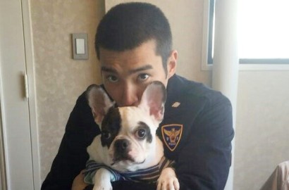 Gigit Tetangga Hingga Meninggal, Siwon Kini Kirim Anjingnya ke Pedesaan?