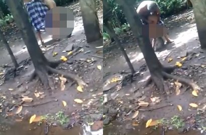 Viral Kakek Tega Umpankan Cucunya ke Monyet, Polisi Langsung Selidiki