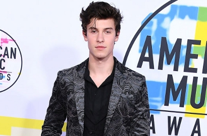Puji Aksi BTS di AMA 2017, Ini Kata Shawn Mendes Soal Kemungkinan Kolaborasi