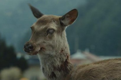 Mirip Film 'Train to Busan' Gong Yoo, Virus 'Zombie' Rusa Bisa Menular ke Manusia?