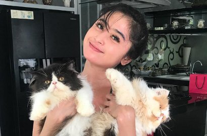 Pamer Keahlian Memasak, Netter Malah Soroti Perabotan Dewi Persik