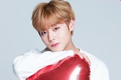 Ambil Tindakan Hukum, Ini Kata Agensi Soal Haters Park Jihoon