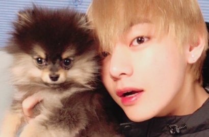 Bersikap Baik Saat Adopsi Anjing, V BTS Tuai Pujian dari Seorang Pelatih