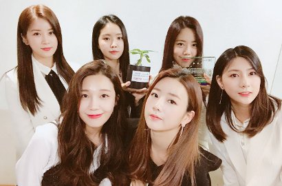 Rayakan 7 Tahun Debut, A Pink Kilas Balik Karier dan Bahas Keajaiban