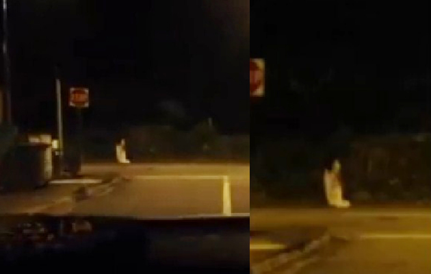 Singapura Dihebohkan Penampakan Hantu Mirip Kuntilanak