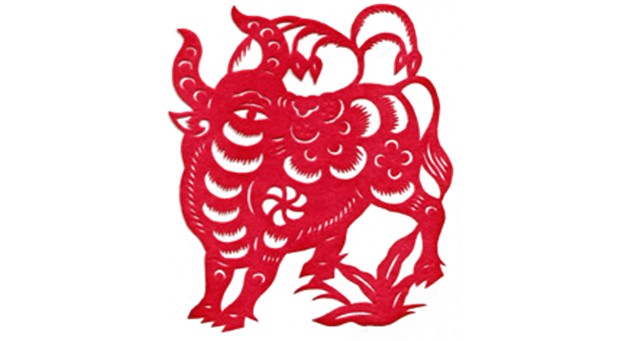 shio di ayam api