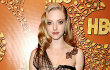 Amanda Seyfried Ingin Berkarir Seperti Meryl Streep