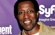 Demi Karirnya Sebagai Aktor, Wesley Snipes Berencana Ajukan Pembebasan Bersyarat