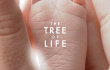 Trailer: Pencarian Makna Hidup di Film 'The Tree of Life'