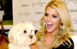Jessica Simpson: Saya Ingin Memiliki Putra