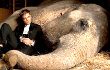 Robert Pattinson: Saya Pernah <i>Dikentutin</i> Gajah Saat Syuting 'Water for Elephants'