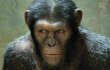 Trailer: Andy Serkis Benci Manusia di 'Rise of the Planet of the Apes'
