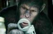 Featurette: Intelegensi Caesar Melebihi Manusia di 'Rise of the Planet of the Apes'