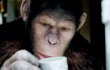 Trailer: Simpanse Juga Belajar di 'Rise of the Planet of the Apes'