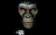 'Rise of the Planet of the Apes' Masih Jadi Jawara Box Office Amerika