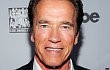 Arnold Schwarzenegger Akan Mulai Syuting di 'The Last Stand'