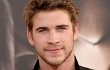Liam Hemsworth Diaudisi Untuk Film Adaptasi Novel Stephanie Meyer 'The Host'